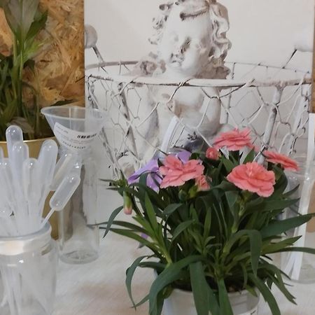 Le Laboratoire Shabby Chic De La Parfumerie Du Manoir Chavagne المظهر الخارجي الصورة