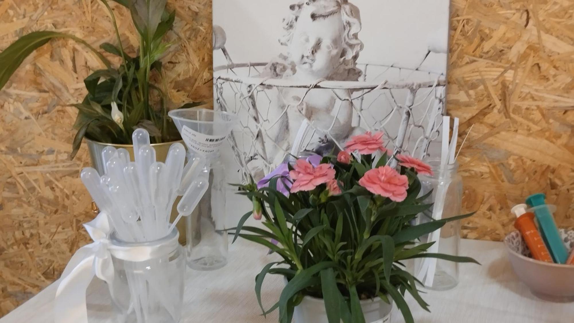 Le Laboratoire Shabby Chic De La Parfumerie Du Manoir Chavagne المظهر الخارجي الصورة